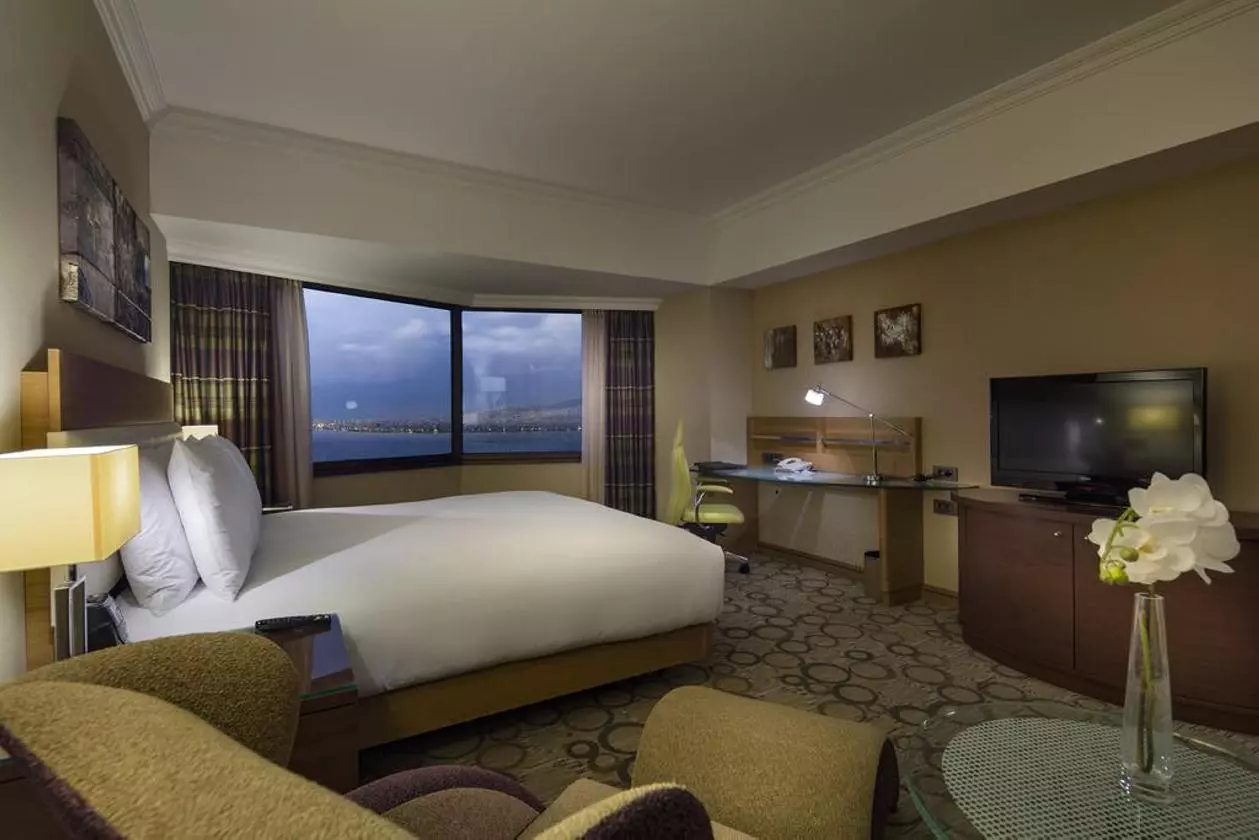 hilton_shabaviz (7).jpg